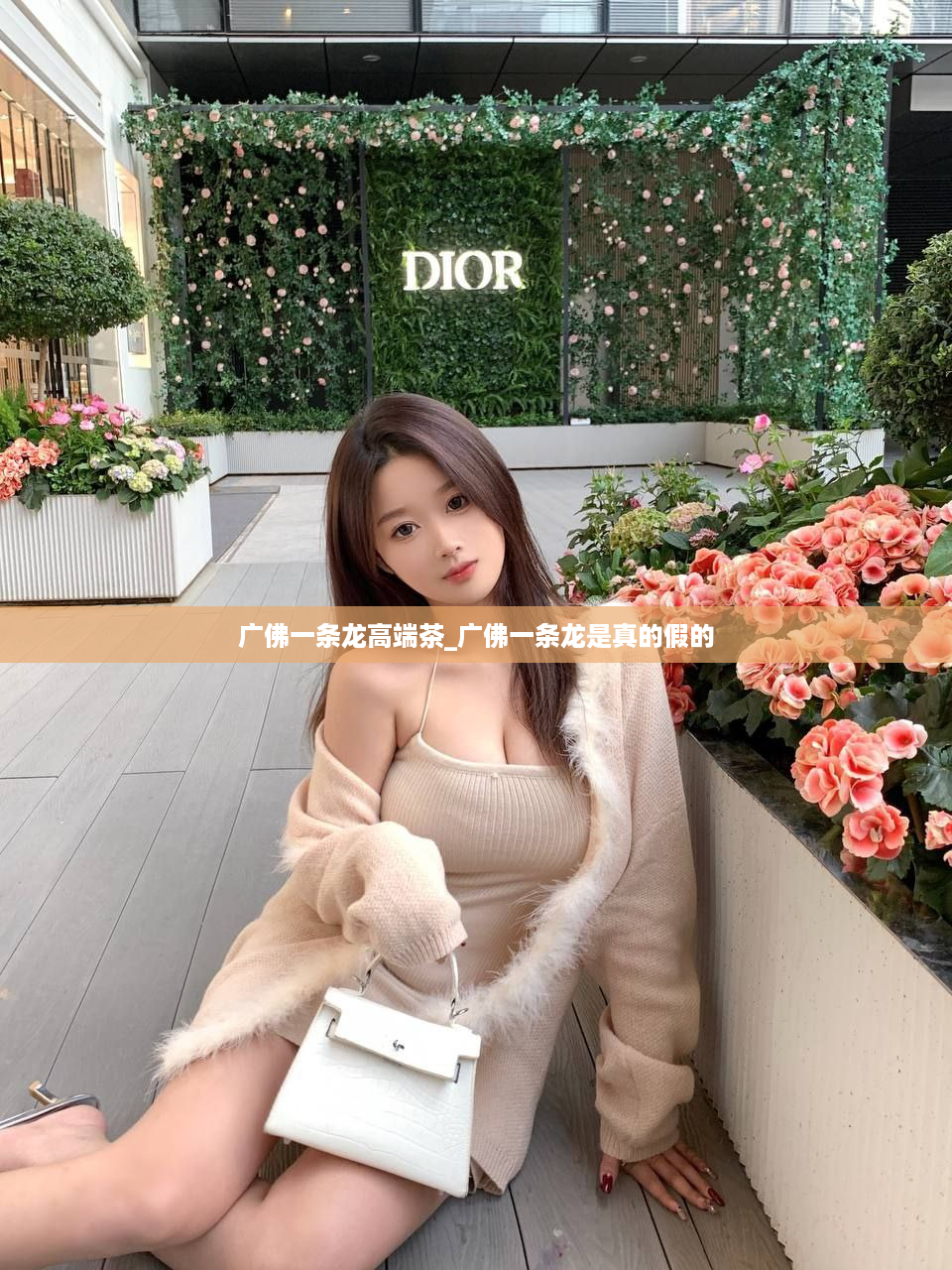 广佛一条龙高端茶_广佛一条龙是真的假的