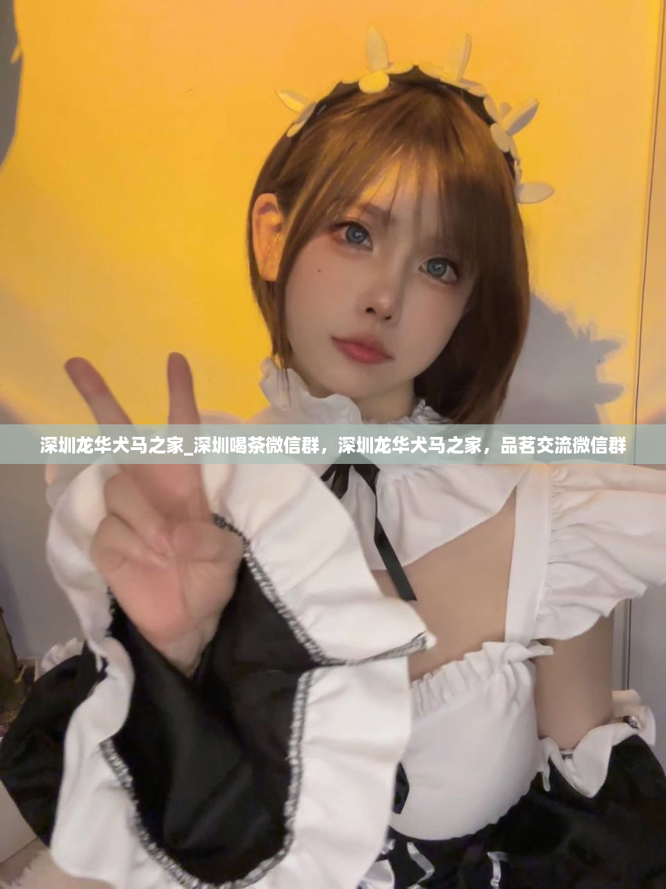 深圳龙华犬马之家_深圳喝茶微信群，深圳龙华犬马之家，品茗交流微信群