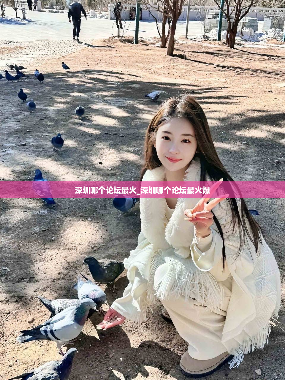 深圳哪个论坛最火_深圳哪个论坛最火爆