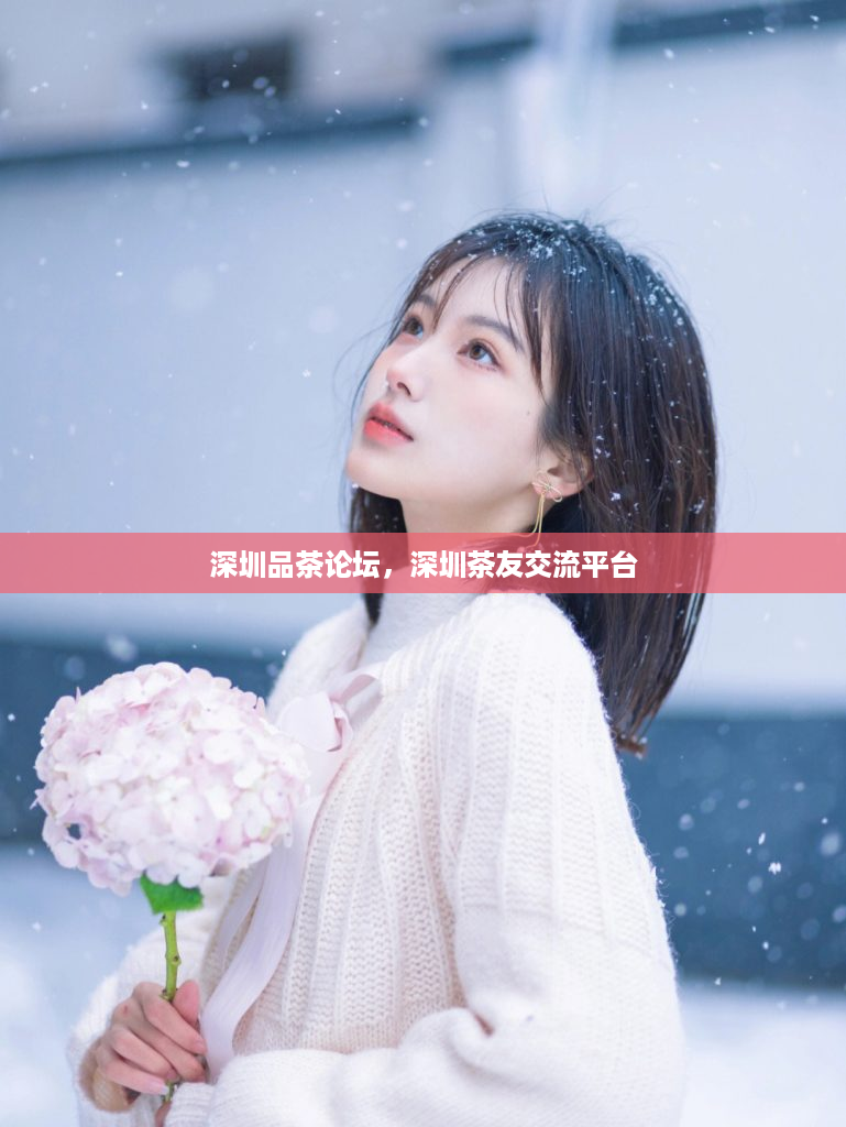 深圳品茶论坛，深圳茶友交流平台