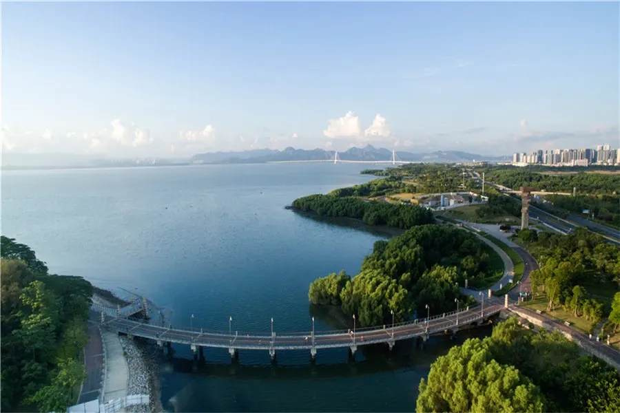 深圳98场酒店_深圳犬马之家地址的简单介绍