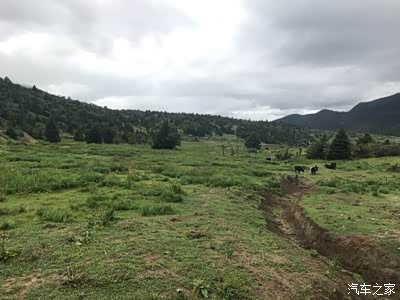包含深圳喝茶你懂南山_广州犬马之家电脑版的词条 包含深圳喝茶你懂南山_广州犬马之家电脑版的词条