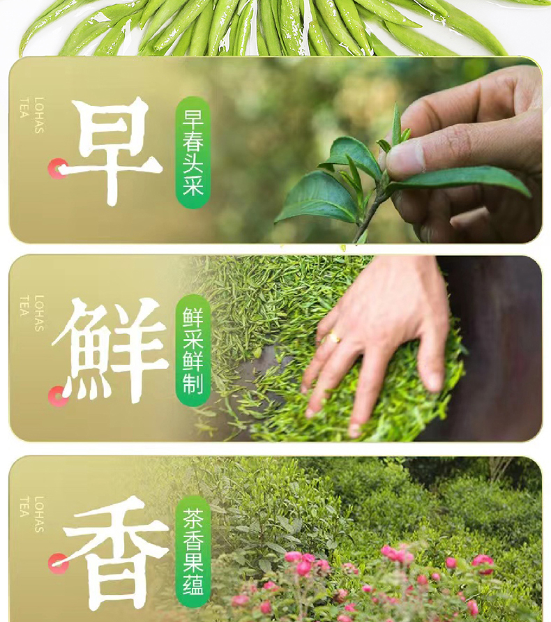 深圳新茶联系方式_深圳新茶是什么意思