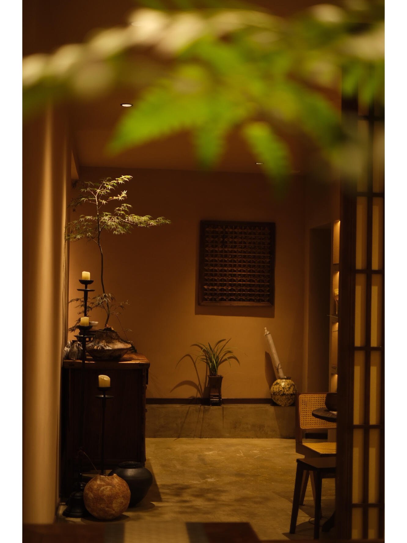 上海品茶加V_上海品茶app