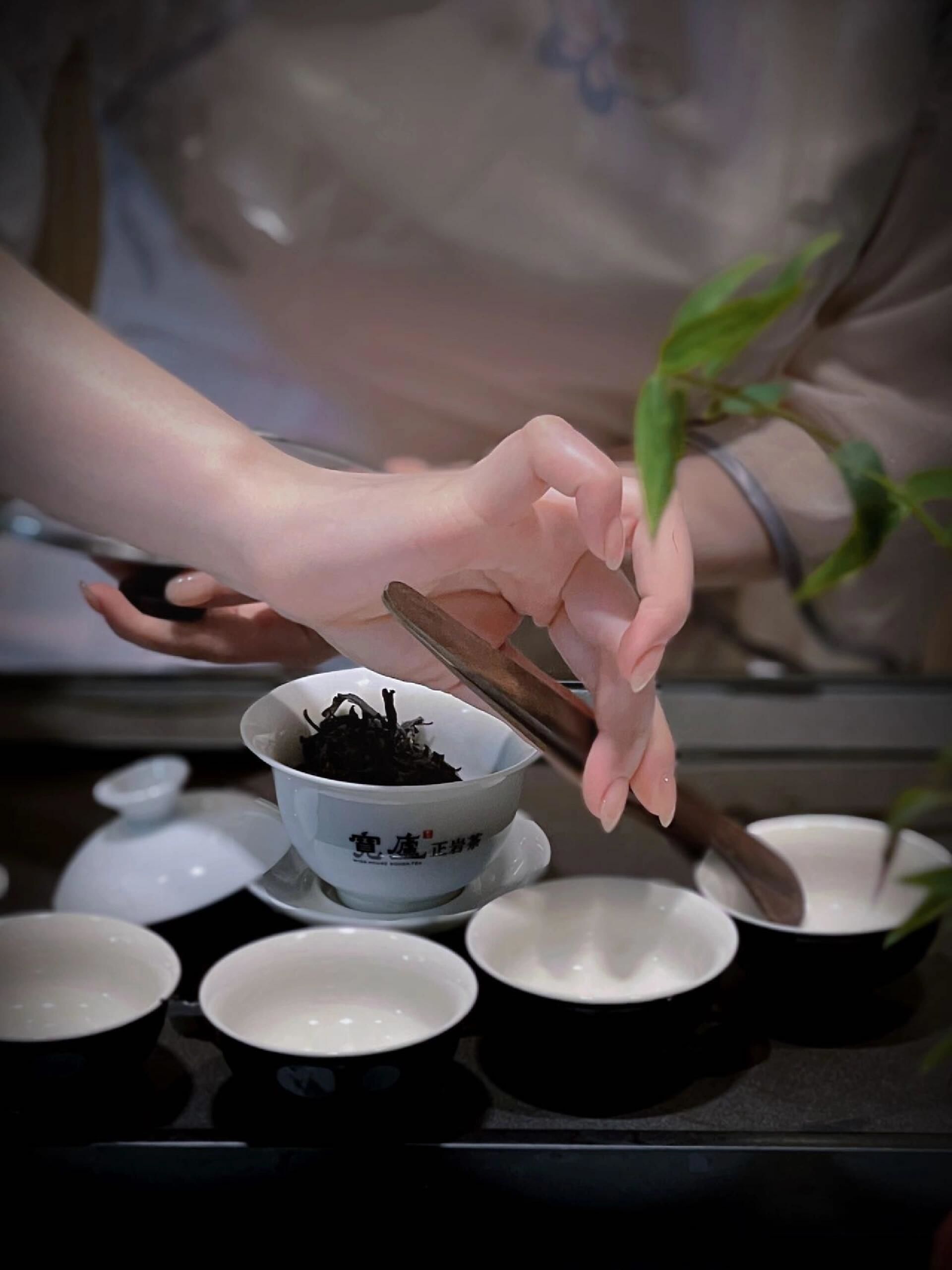 深圳上课品茶_杭州品茶工作室 深圳上课品茶_杭州品茶工作室