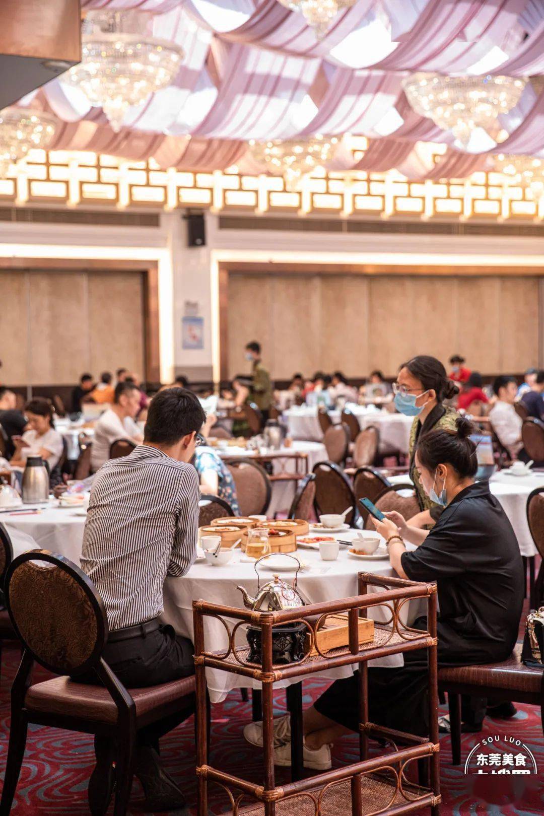 东莞长安哪里有夜茶喝_东莞长安哪里有夜茶喝的