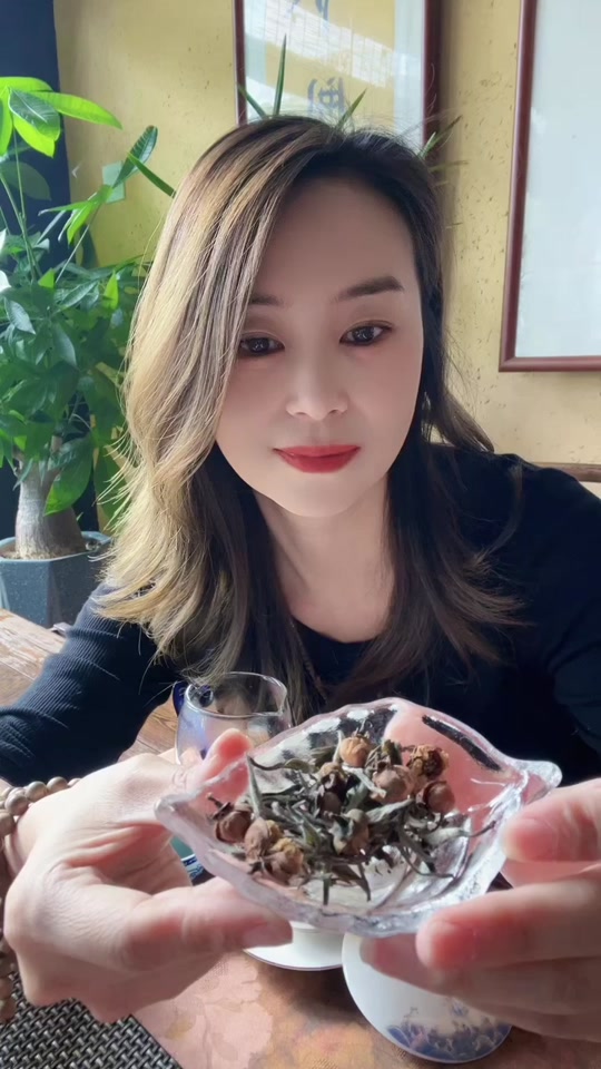 关于犬马之家_佛山喝茶预约的信息 关于犬马之家_佛山喝茶预约的信息