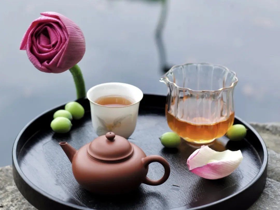 关于犬马之家_佛山喝茶预约的信息 关于犬马之家_佛山喝茶预约的信息