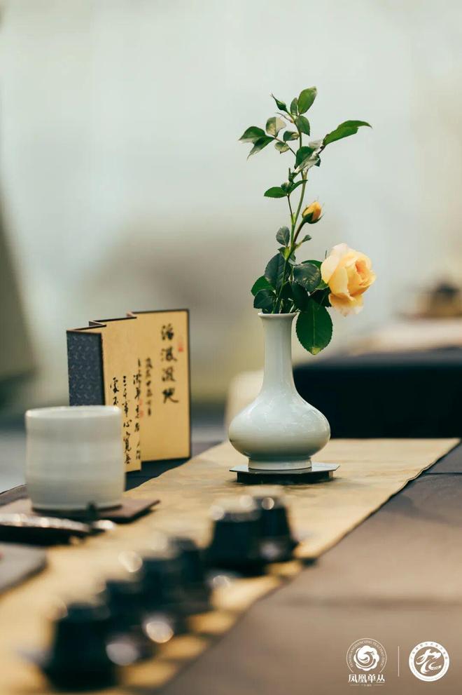 包含深圳高端喝茶品茶加V的词条