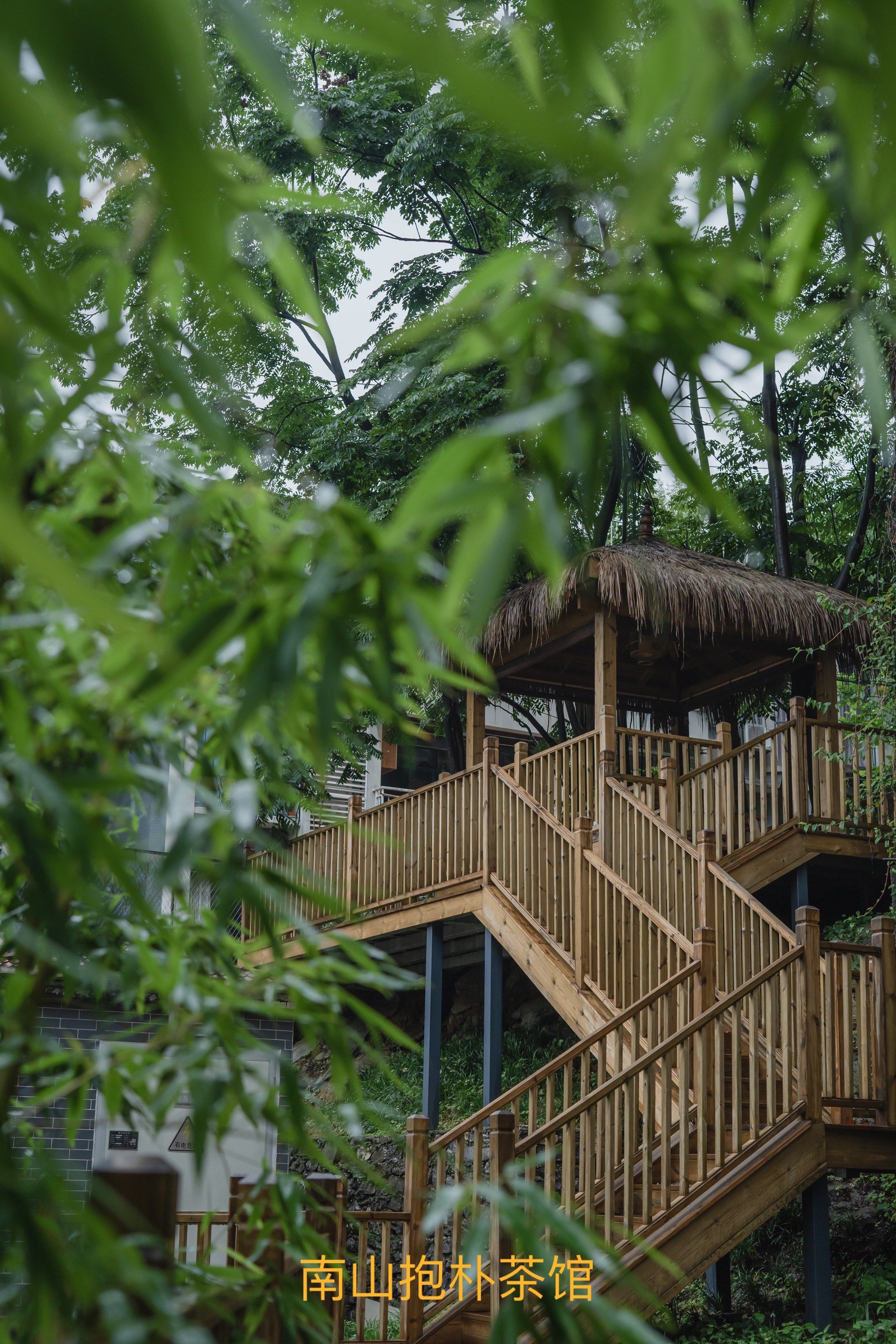 南山喝茶服务比较好的地方_南山喝茶服务比较好的地方在哪里