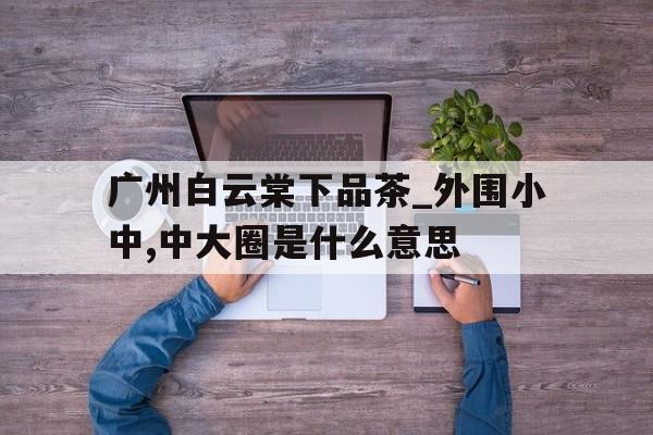 广州白云棠下品茶_外围小中,中大圈是什么意思的简单介绍 广州白云棠下品茶_外围小中,中大圈是什么意思的简单介绍